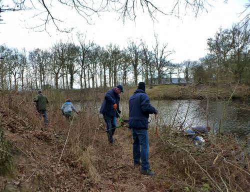 Natuurwerkdag 2015 voorjaar