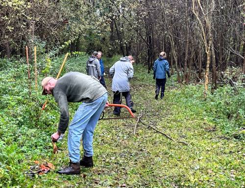 Terugblik: Natuurwerkdag op Fort bij Rijnauwen
