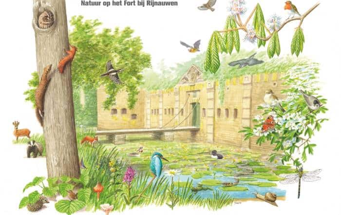 Illustratie Natuur op het Fort bij Rijnauwen